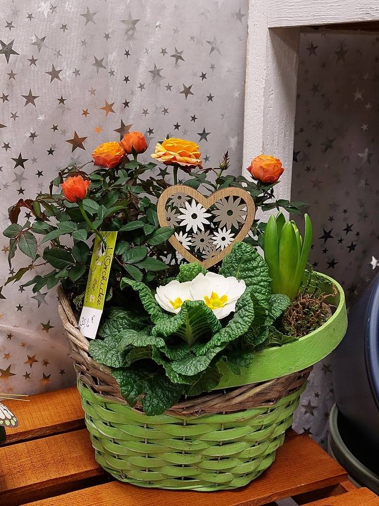 Fêtes_mamie_l'orchidée (3)