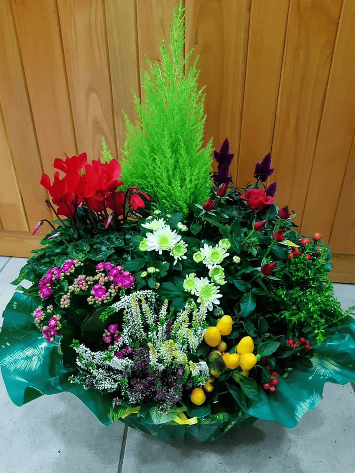 L'orchidee-fleuriste- (2)