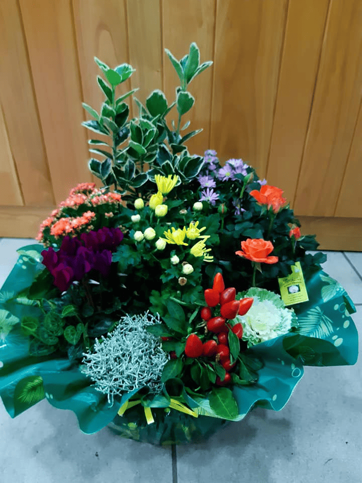 L'orchidee-fleuriste