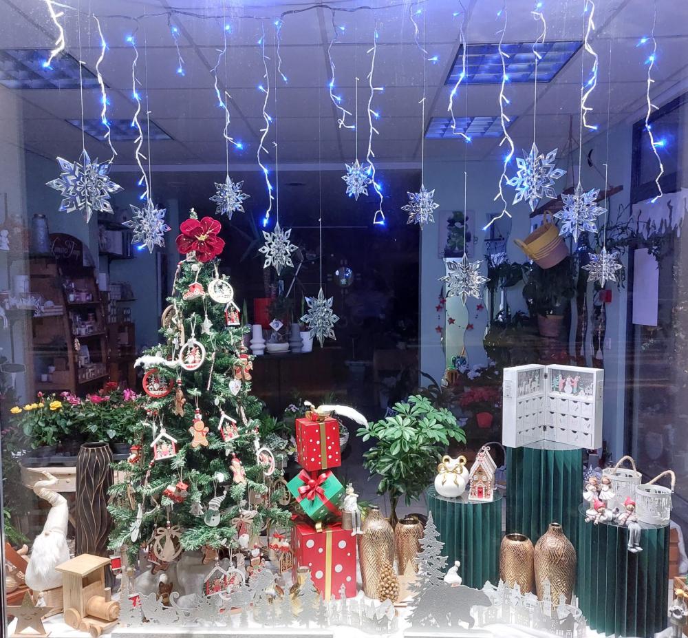 vitrine Noël 2025
