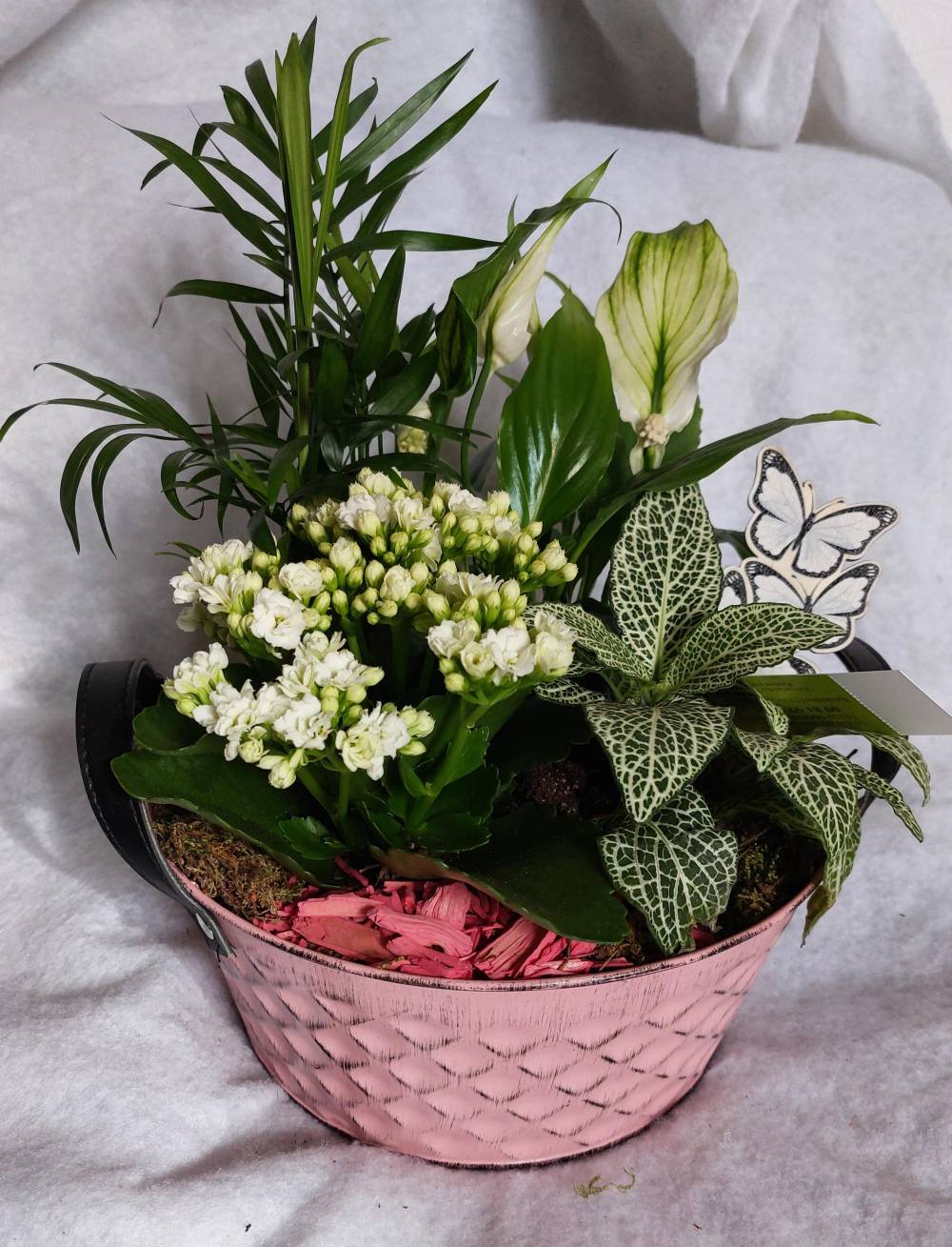 fleurs en pot rose 2